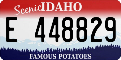 ID license plate E448829