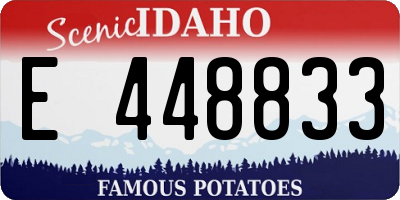 ID license plate E448833