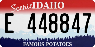 ID license plate E448847