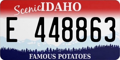 ID license plate E448863