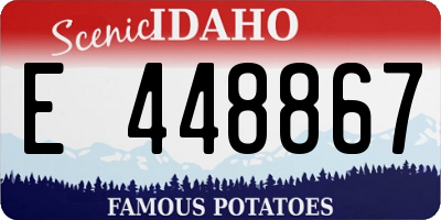ID license plate E448867