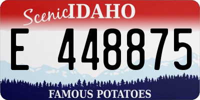 ID license plate E448875