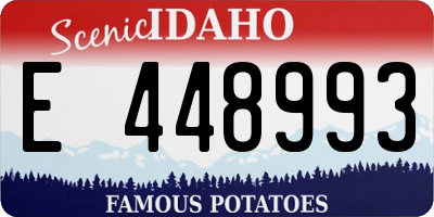 ID license plate E448993