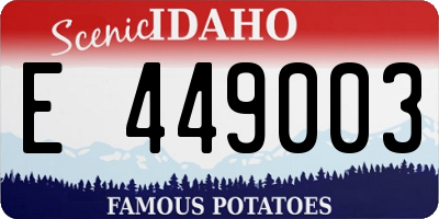 ID license plate E449003