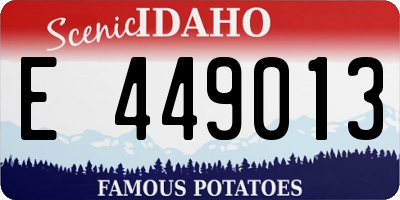ID license plate E449013