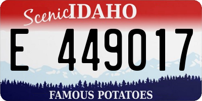 ID license plate E449017