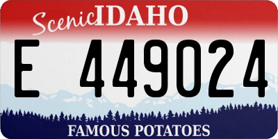 ID license plate E449024
