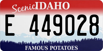 ID license plate E449028