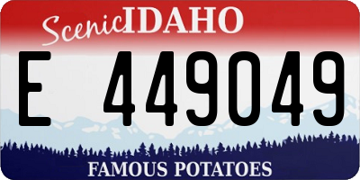 ID license plate E449049