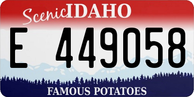 ID license plate E449058