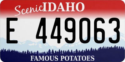 ID license plate E449063