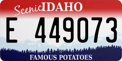 ID license plate E449073