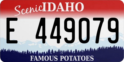 ID license plate E449079