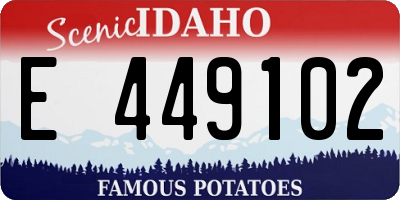 ID license plate E449102