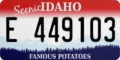 ID license plate E449103