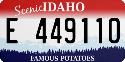 ID license plate E449110