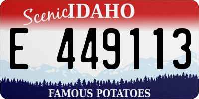 ID license plate E449113