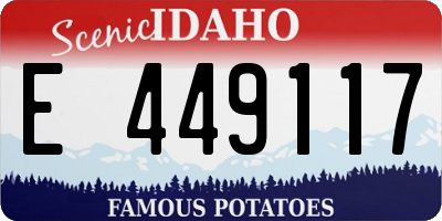 ID license plate E449117