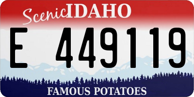 ID license plate E449119