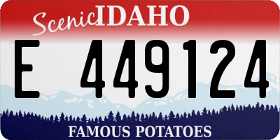 ID license plate E449124