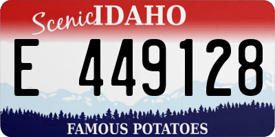 ID license plate E449128