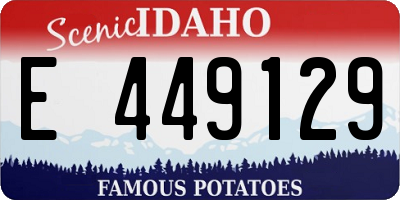 ID license plate E449129
