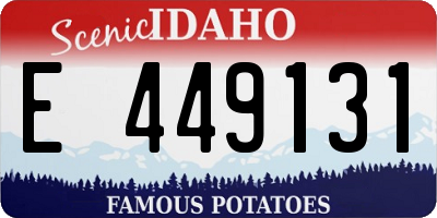 ID license plate E449131