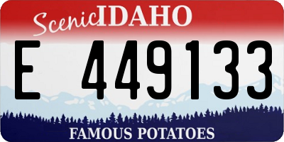 ID license plate E449133