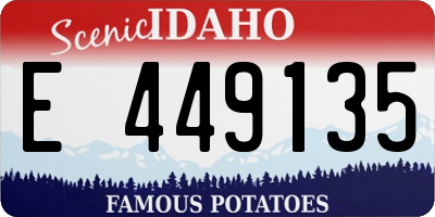 ID license plate E449135