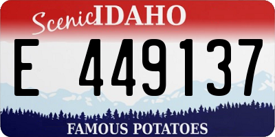 ID license plate E449137