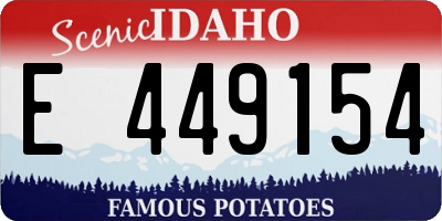 ID license plate E449154