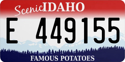 ID license plate E449155