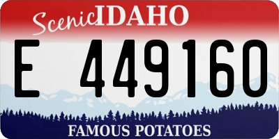 ID license plate E449160