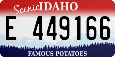 ID license plate E449166