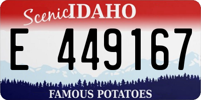 ID license plate E449167