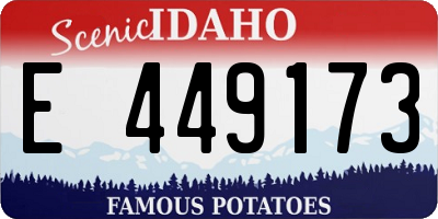 ID license plate E449173