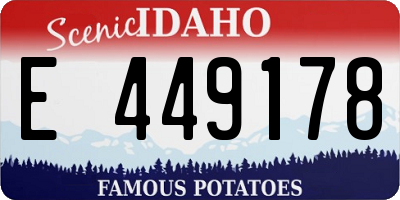 ID license plate E449178