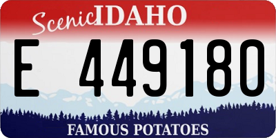 ID license plate E449180