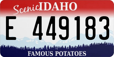 ID license plate E449183