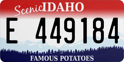 ID license plate E449184