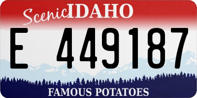 ID license plate E449187