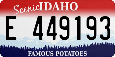 ID license plate E449193