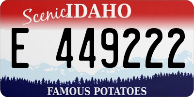 ID license plate E449222