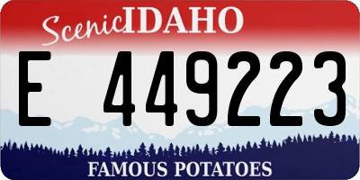 ID license plate E449223