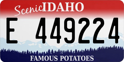 ID license plate E449224