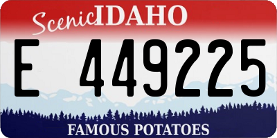 ID license plate E449225