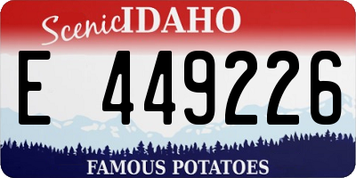 ID license plate E449226