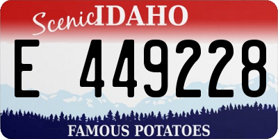 ID license plate E449228