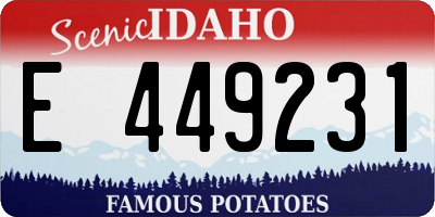 ID license plate E449231