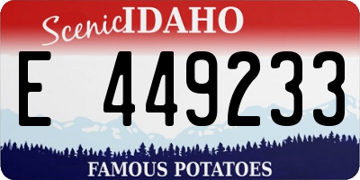 ID license plate E449233